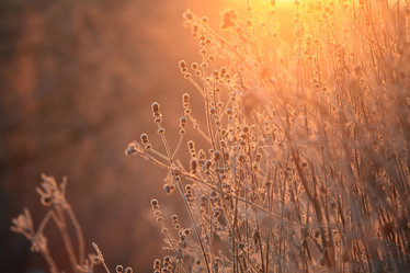 Similar image 10495141