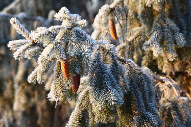 Similar image 10495142