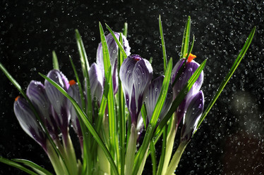 Similar image 10495146