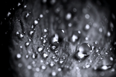 Similar image 10495152