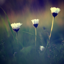 Similar image 10495154