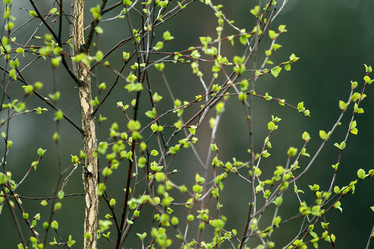 Similar image 10495161