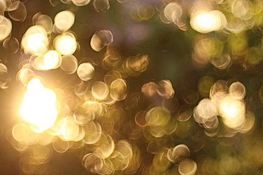 Similar image 10495182