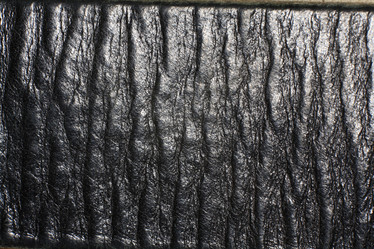 Similar image 10495184