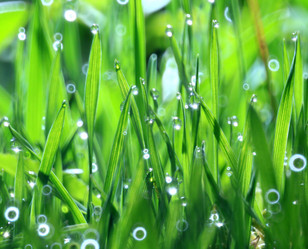 Similar image 10495199