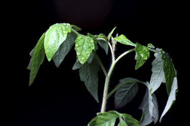 Similar image 10495206