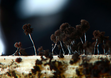 Similar image 10495208