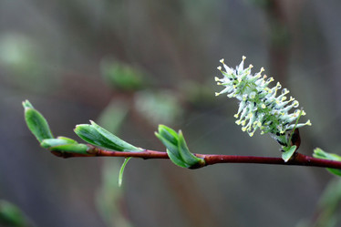 Similar image 10495209