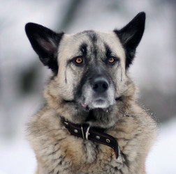 Similar image 10495211