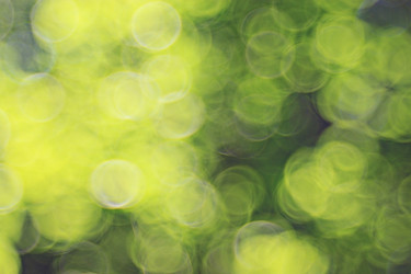 Similar image 10495212