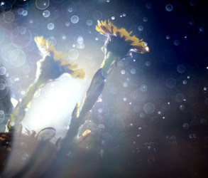 Similar image 10495216