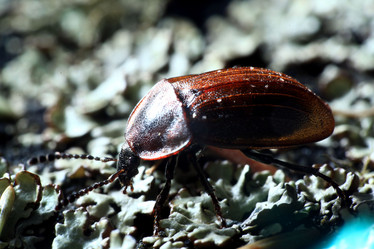 Similar image 10495217