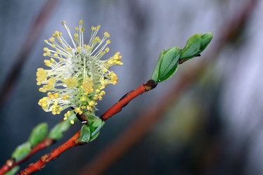 Similar image 10495219