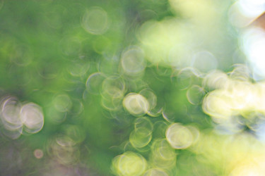 Similar image 10495218