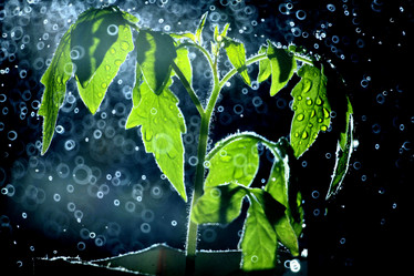 Similar image 10495222