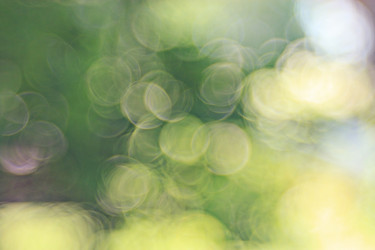 Similar image 10495221