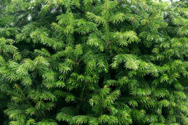 Similar image 10495223