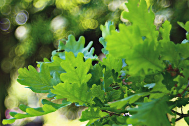 Similar image 10495224