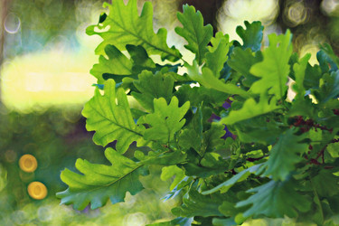 Similar image 10495226