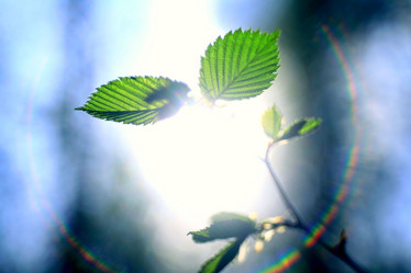 Similar image 10495232