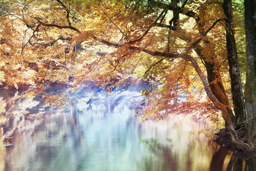 Similar image 10495240