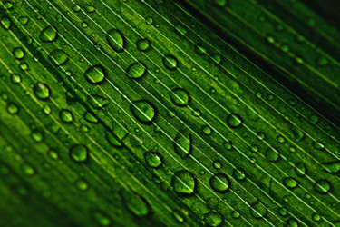 Similar image 10495241