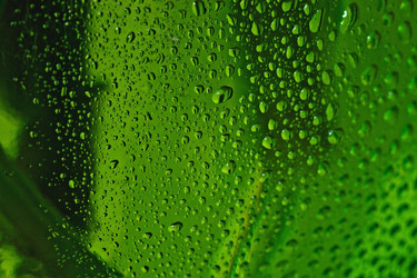 Similar image 10495244