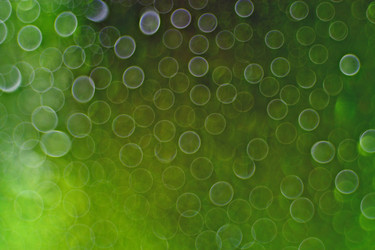 Similar image 10495246