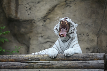 Similar image 10495254