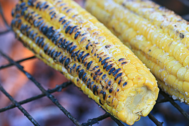 Similar image 10495257