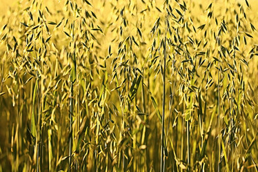 Similar image 10495258