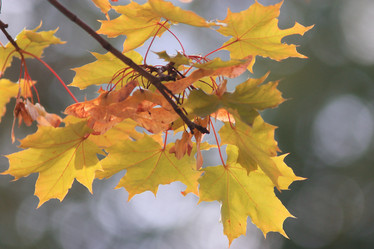 Similar image 10495266