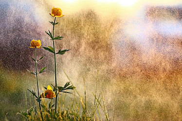 Similar image 10495269