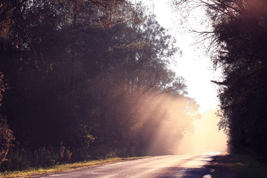 Similar image 10495270