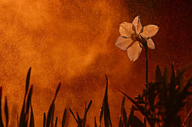 Similar image 10495271