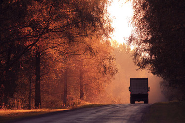 Similar image 10495275