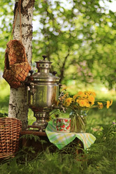 Similar image 10495278