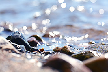 Similar image 10495282