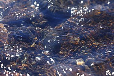 Similar image 10495283