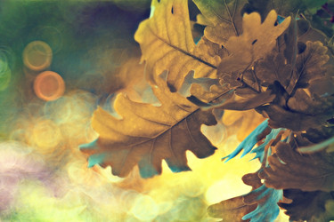 Similar image 10495300