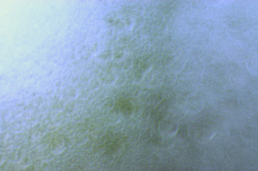 Similar image 10495314