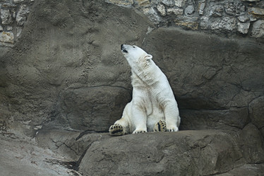 Similar image 10495318