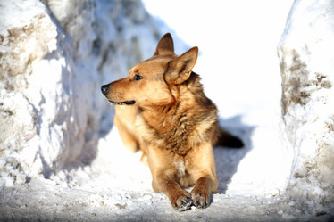 Similar image 10495338