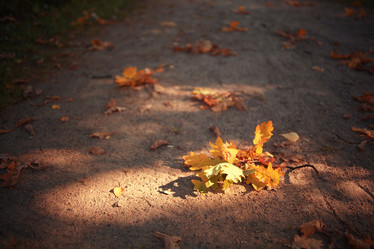 Similar image 10495339