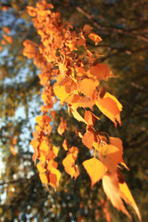 Similar image 10495340