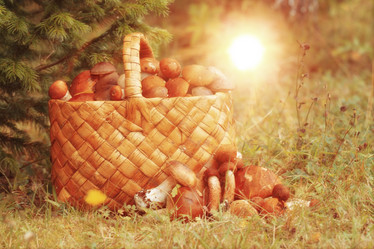 Similar image 10495341