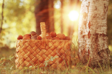 Similar image 10495342