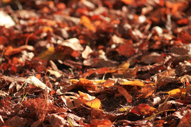 Similar image 10495344