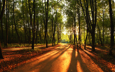 Similar image 10495349