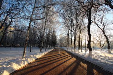 Similar image 10495351